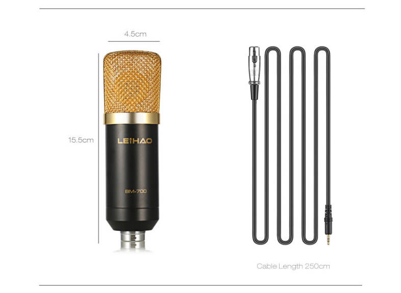 LEIHAO BM - 700 Professional Condenser Microphone Studio Broadcasting Recording