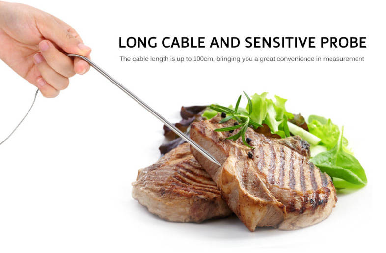 TS - 81 Digital Meat Temperature Electronic Food Thermometer