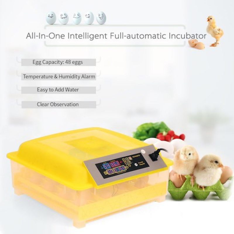 48-Eggs Intelligent Automatic Egg I (end 11/4/2022 12:00 AM)