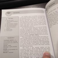 English essays for primary students