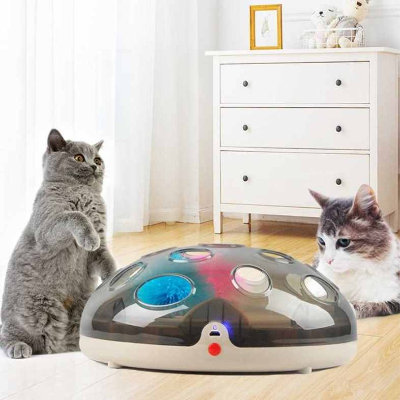 best toys for smart cats