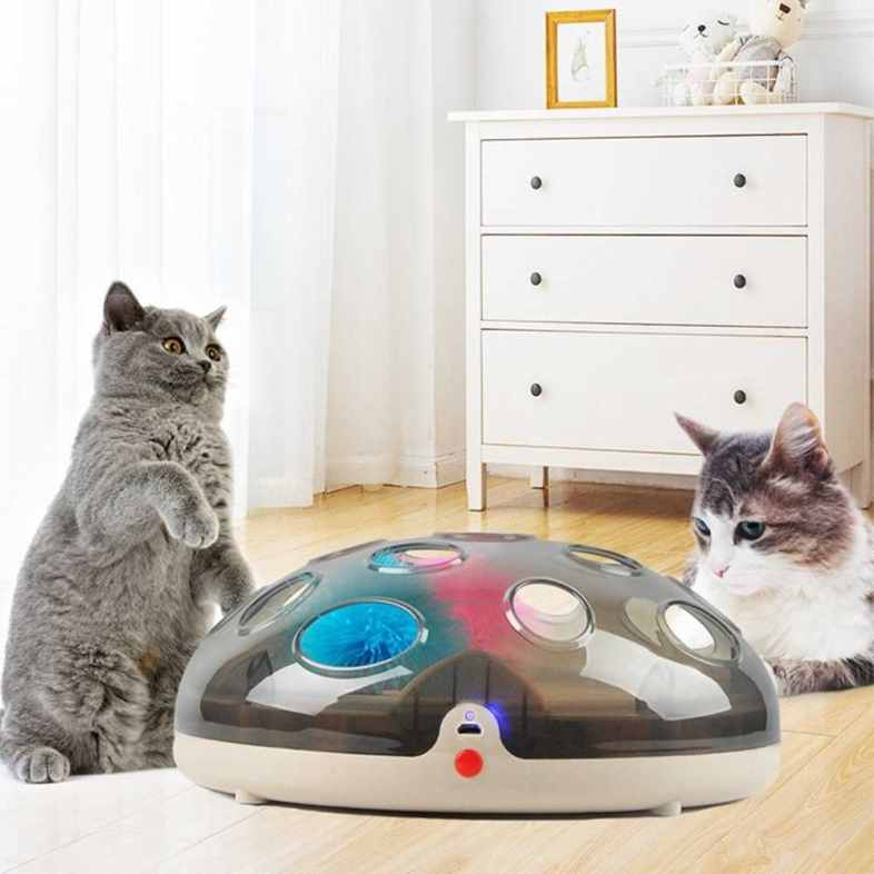 cat exercise toys